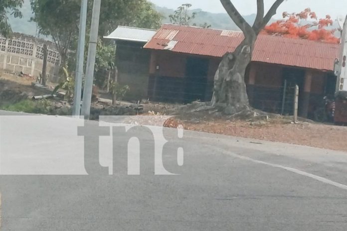 Foto: Motociclista y pasajera sufren mortal accidente de tránsito en Jinotega