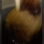 ¡Alarmante! Encuentran una extraña planta dentro de una cisterna en México Foto: ¡Alarmante! Encuentran una extraña planta dentro de una cisterna en México / Cortesía