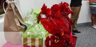 Foto: Juventud Sandinista festeja "Madres, Esencia del Arte" con entrega de reconocimiento / TN8