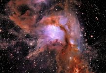 Impresionante imágenes: Telescopio Euclid descubre nuevos planetas sin estrellas Foto: Telescopio Euclid descubre nuevos planetas sin estrellas / Cortesía