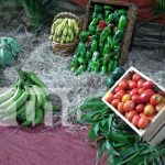 Foto: Iglesia evangélica realiza tiempo de clamor por buen invierno y buenas cosechas/TN8