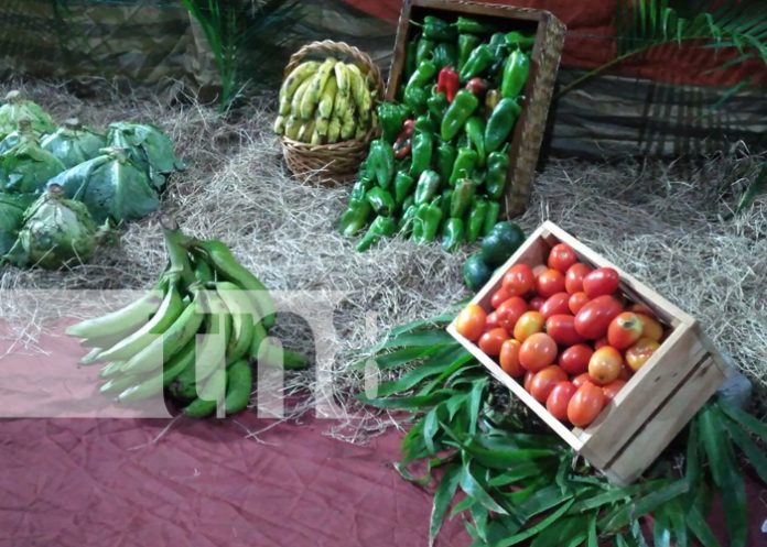 1 Foto: Iglesia evangélica realiza tiempo de clamor por buen invierno y buenas cosechas/TN8