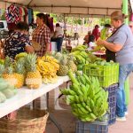 Variedad de productos en el mercadito campesino de Managua Foto: Managua se deleita con la diversidad de productos /TN8