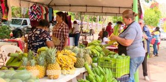 Foto: Managua se deleita con la diversidad de productos /TN8