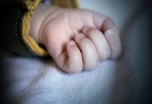 Joven mató sin piedad a un niño de 6 años para cumplir un reto viral en Alemania Asesina brutalmente a un niño de 6 años en Alemania