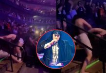 Se armó el «bochinche»: Mujeres se dan con todo en pleno concierto de Bad Bunny Violenta pelea entre mujeres en concierto de Bad Bunny