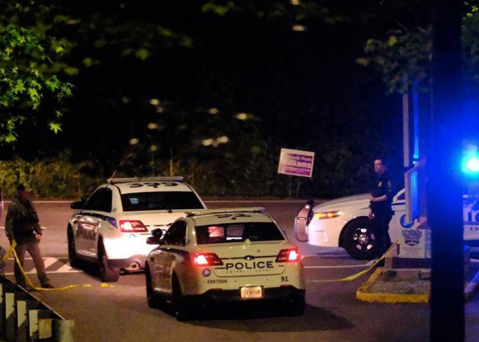 1 Encuentran a tres niños sin vida en un parque de Georgia