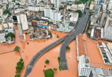 Foto: Alerta en Brasil /cortesía