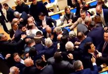 Nueva pelea en el Parlamento de Georgia