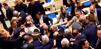 Nueva pelea en el Parlamento de Georgia