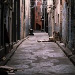 Hallazgo Macabro: Cuatro cuerpos hechos pedazos en Acapulco Foto: Hallazgo Macabro: Cuatro cuerpos hechos pedazos en Acapulco / Cortesía