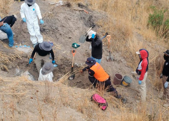 1 Foto: Descubrimiento en México /cortesía