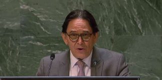 Nicaragua muestra su apoyo a Palestina durante debate sobre el uso del veto en la ONU