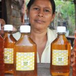 Nicaragua es exitosa en la producción nacional de miel Buenos resultados en producción nacional de miel en Nicaragua