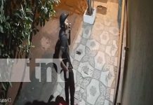 Ladrón no perdonó ni la bujía de luz en Chinandega