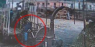 Muere tras caer en una máquina trituradora de alimentos en Perú