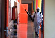 Dengue se mantiene estable: 256 casos reportados Foto: Dengue descontrolado en Argentina /cortesía