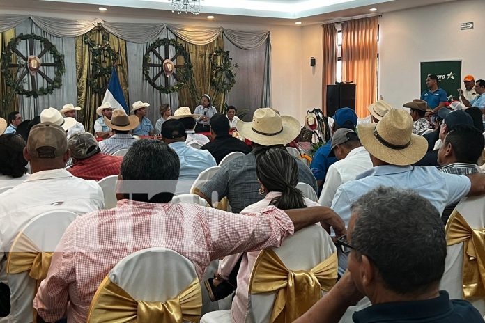 Foto: ¡Feria Ganadera Juigalpa 2024! Un impulso al sector agropecuario/TN8