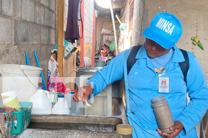 Foto: Erradicación de zancudos en Managua con abate / TN8