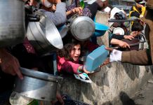Foto: Emergencia en Gaza /cortesía