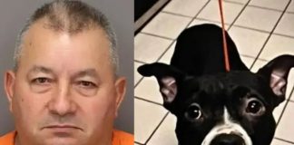Hombre de Florida decapita a su perro