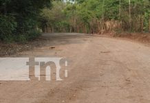 Reparación de caminos en Masaya beneficia a productores locales Reparación de caminos en Masaya beneficia a productores locales