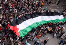Foto: Universidades se unen contra Israel /cortesía