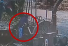 Hombre termina en «tucos» tras caer a una trituradora de maíz en Perú Foto: Tragedia en Perú /cortesía