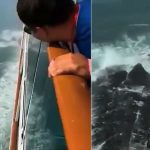 Foto: "Parece Godzilla" Captan extraña criatura marina saliendo del mar (Video) / Cortesía