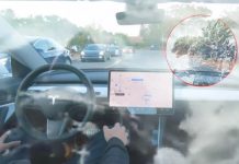 De no creer: Graban a hombre haciendo el “delicioso” con un carro Tesla Foto: Graban a hombre haciendo el “delicioso” con un carro Tesla / Cortesía