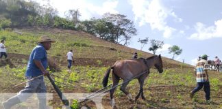 Productores listos para iniciar el proceso de siembra