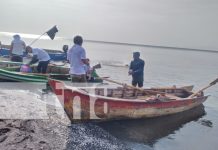 ¡Alegría y diversión! Realizan colorido torneo de botes de remos en la Isla de Ometepe Foto: ¡Alegría y diversión! Realizan colorido torneo de botes de remos en la Isla de Ometepe/TN8
