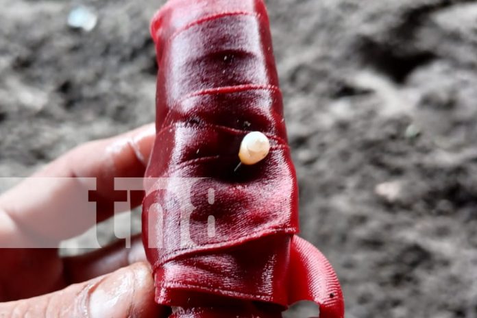 2 Foto: Encuentran objetos de brujería en playa de Corinto / TN8