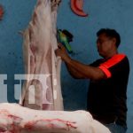 Foto: Nicaragua: Un país impulsado por el espíritu emprendedor!/TN8