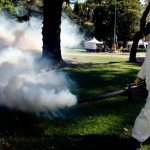Dengue se expande rápidamente con más de medio millón de casos en Argentina Foto: Dengue descontrolado en Argentina /cortesía