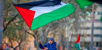 Foto: Posible alto al fuego permanente para lograr la paz en Palestina y la región /cortesía