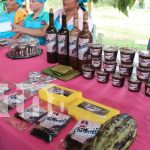 Premian a vino, pastel y chocolate en festival departamental de cacao en Siuna Foto; Premian a vino, pastel y chocolate en festival departamental de cacao en Siuna/ TN8