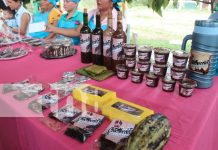 Premian a vino, pastel y chocolate en festival departamental de cacao en Siuna Foto; Premian a vino, pastel y chocolate en festival departamental de cacao en Siuna/ TN8