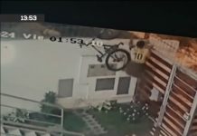 Cayó en púas: Ladrón muere desangrado tras intento de robo en Perú Foto: Cayó en púas: Ladrón muere desangrado tras intento de robo en Perú / Cortesía