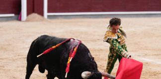 Prohibidas las corridas de toros en Colombia 
