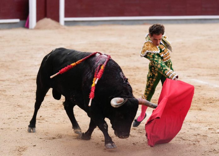 Prohibidas las corridas de toros en Colombia  Prohibidas las corridas de toros en Colombia