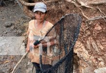 Mujeres de Chinandega trabajan en la pesca para sacar adelante a sus familias Foto: Mujeres de Chinandega trabajan en la pesca para sacar adelante a sus familias / TN8