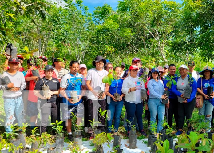 Foto; Alcaldía de Managua y Jóvenes Deportistas, reforestan 3.7 kilómetros de la pista Larreynaga/ TN8 Foto; Alcaldía de Managua y Jóvenes Deportistas, reforestan 3.7 kilómetros de la pista Larreynaga/ TN8
