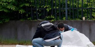 Dos muertos en nuevo tiroteo en Francia