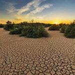 El Niño y el calentamiento global causaron récord de desastres en Latinoamérica Desastres climáticos récord en América Latina y el Caribe