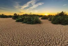 El Niño y el calentamiento global causaron récord de desastres en Latinoamérica Desastres climáticos récord en América Latina y el Caribe