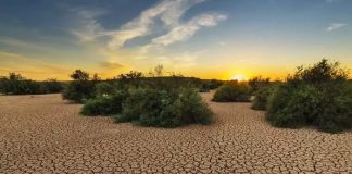 Desastres climáticos récord en América Latina y el Caribe