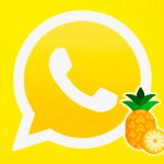 Foto: Personaliza tu WhatsApp /cortesía