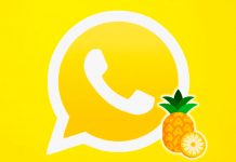 Foto: Personaliza tu WhatsApp /cortesía