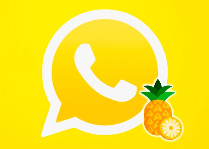 Foto: Personaliza tu WhatsApp /cortesía